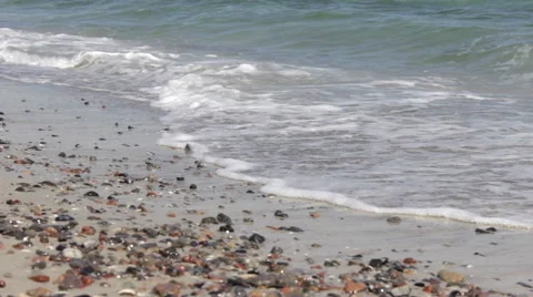 Nice sea shells on the sandy beach Stock Footage 44252426