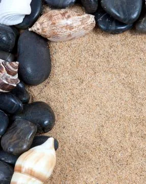 Nice sea shells on the sandy beach taken closeup, shell border or frame Stock Photos