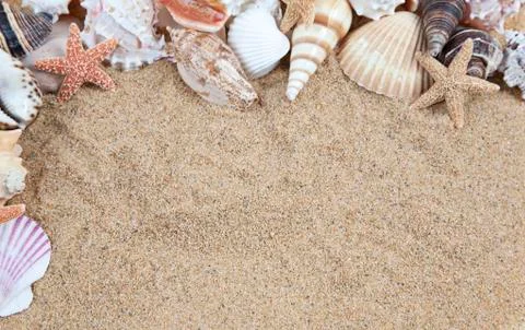 Nice sea shells on the sandy beach taken closeup, shell border or frame Stock Photos