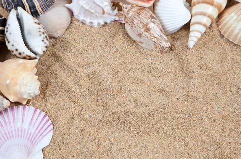 Nice sea shells on the sandy beach taken closeup, shell border or frame Stock Photos