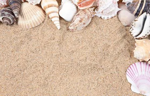 Nice sea shells on the sandy beach taken closeup, shell border or frame Stock Photos