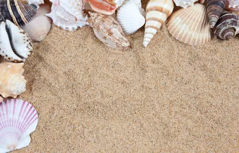 Nice sea shells on the sandy beach taken closeup, shell border or frame Stock Photos