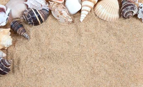 Nice sea shells on the sandy beach taken closeup, shell border or frame Stock Photos