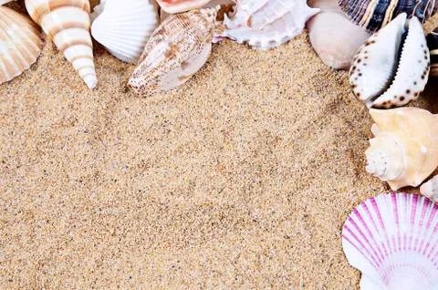 Nice sea shells on the sandy beach taken closeup, shell border or frame Stock Photos