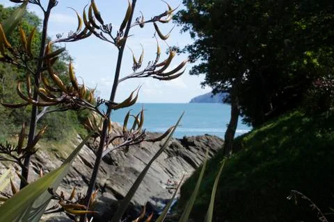 Nice seaview Stock Photos