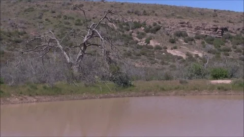 Nice Shot form a pistol Stock Footage 74221234