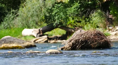 A nice shot of a scenic river in Durango, Colorado. Filmed in 4K UHD. Stock Footage 54261247