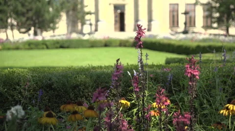 Nice slide movement at summer at Budapest, Europe Stock Footage 54914374