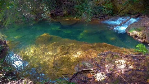 Nice small creek on the forest in Spain cloudy day Stock Footage 97932881