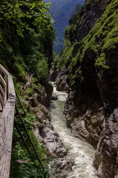 Nice small river with stone and trees flow through valley in Austria mountain Foto stock