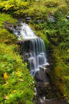 Nice small waterfall surrounded by greenery Stock Photos