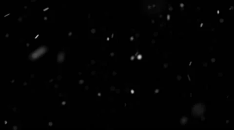 Nice Snow on Black Background Video stock 68751486
