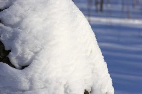Nice snowdrift on the tree 스톡 사진