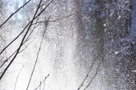 Nice snowdrift on the tree Photos