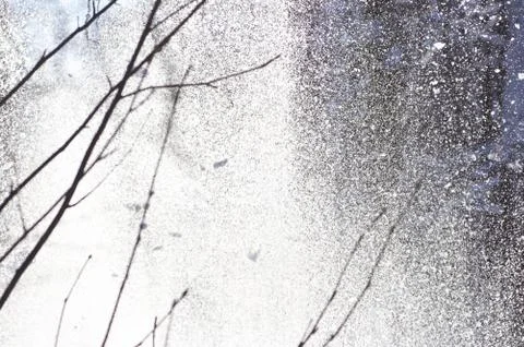 Nice snowfall in the forest Foto stock