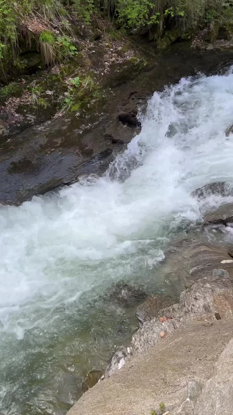 Nice stream early spring in Transylvania forests,Romania Stock Footage 277130920