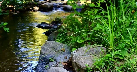 Nice Stretch of River With Small Waterfall Stock Footage 108865965