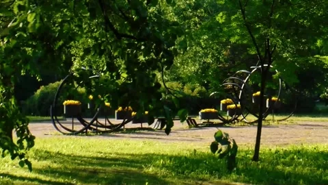 Nice summer bench Stock Footage 245222814