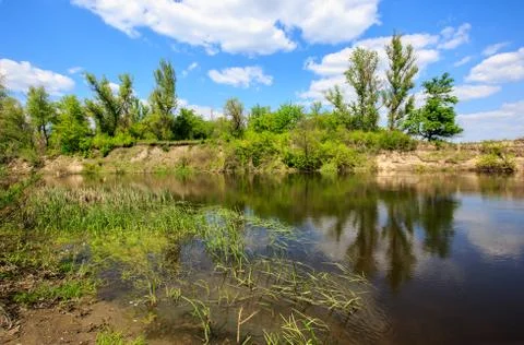 Nice summer landscape with river Stock Photos