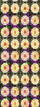 Nice super abstract and cute interesting picture Illustrazione stock