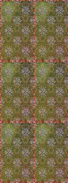 Nice super abstract and cute interesting picture Illustrazione stock