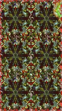 Nice super abstract and cute interesting picture Illustrazione stock
