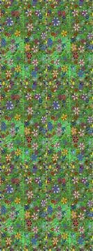 Nice super abstract and cute interesting picture 库存插图