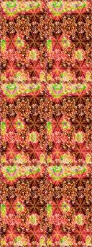 Nice super abstract and cute interesting picture Illustrazione stock