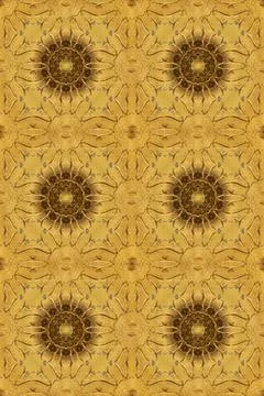 Nice super abstract and cute interesting picture Illustrazione stock