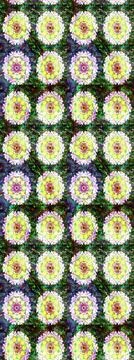 Nice super abstract and cute interesting picture Stock Illustration