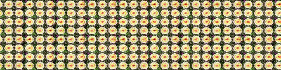 Nice super abstract and cute interesting picture Illustrazione stock