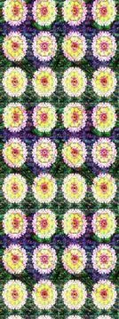 Nice super abstract and cute interesting picture 스톡 일러스트