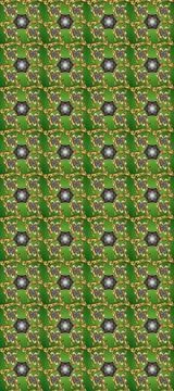 Nice super abstract and cute interesting picture Stock Illustration