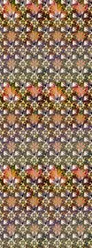 Nice super abstract and cute interesting picture Illustrazione stock