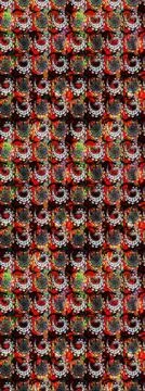 Nice super abstract and cute interesting picture Stock Illustration