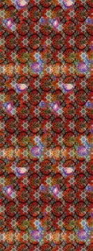 Nice super abstract and cute interesting picture Illustrazione stock