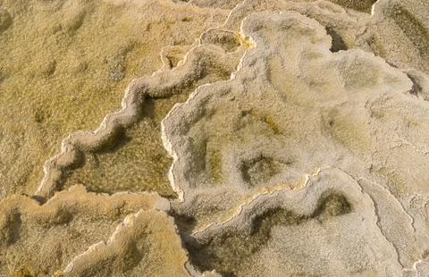 Nice texture background from Mammoth Hot Springs at Yellowstone National Park Фото