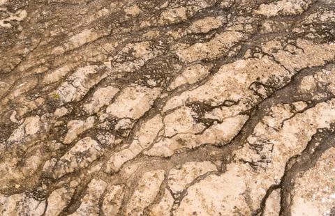 Nice texture background from Mammoth Hot Springs at Yellowstone National Park Stock Photos