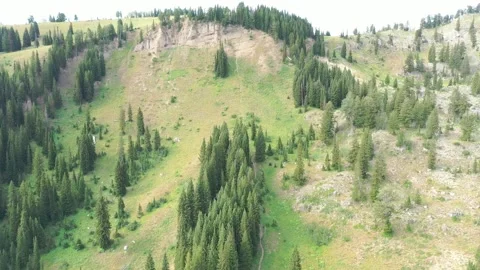 Nice trail on the mountain 動画素材 296795266