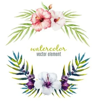 Nice tropical frame Stock Illustration