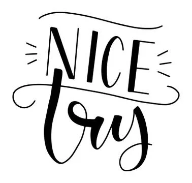 Nice try black text isolated on white background, vector illustration. Stock Illustration