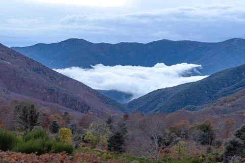 Nice valley with clouds in a cloudy autumn day in mountain Montseny of Spain Stock Photos