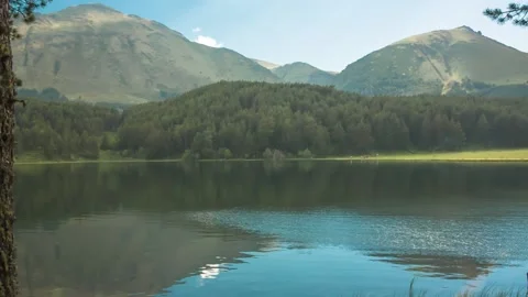 Nice view of the alpine lake in the forest. Stock Footage 158461894