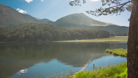 Nice view of the alpine lake in the forest. Stock Footage 158461941