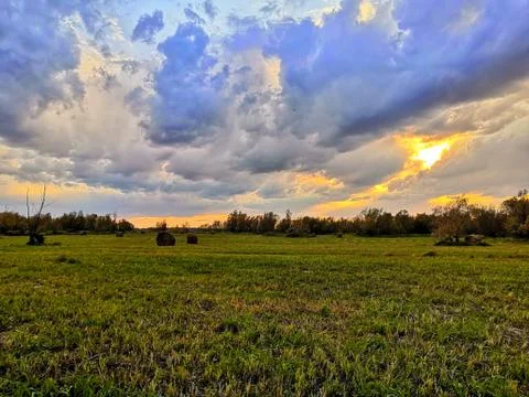 Nice view of the field Stock Photos