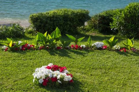 Nice view of flowerbed in the park Stock Photos