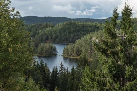 Nice view at the forest lake Stock Photos
