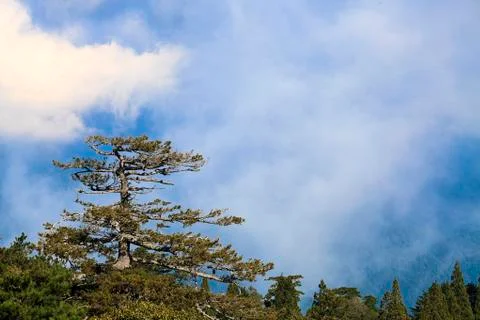 Nice view in the high mountain for adv or others purpose use Stock Photos