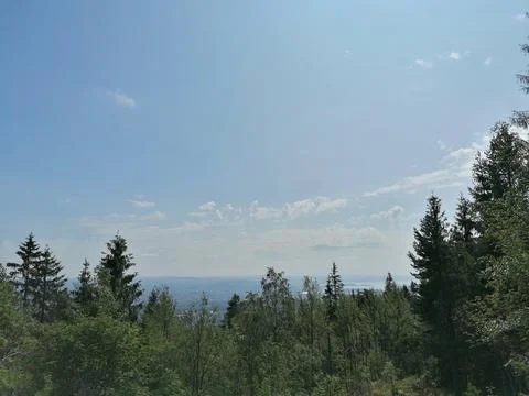 Nice view from a mountain top over the woods Stock Photos
