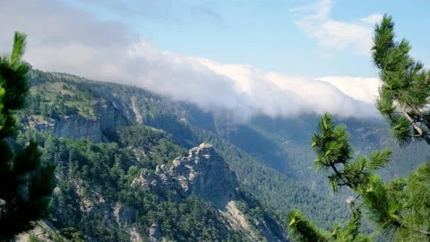 Nice view of mountains and rocks covered with pine forest. There are pastures on Stock Footage 140286195